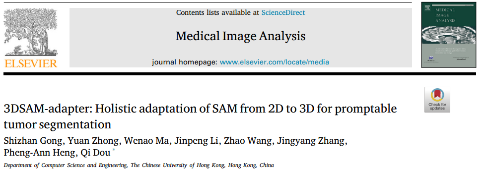 0-3DSAM-adapter: Holistic adaptation of SAM from 2D to 3D for promptable tumor segmentation