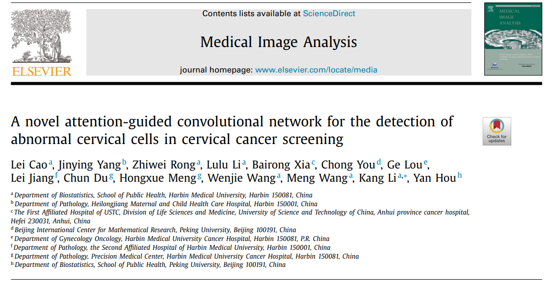 0-A novel attention-guided convolutional network for the detection of