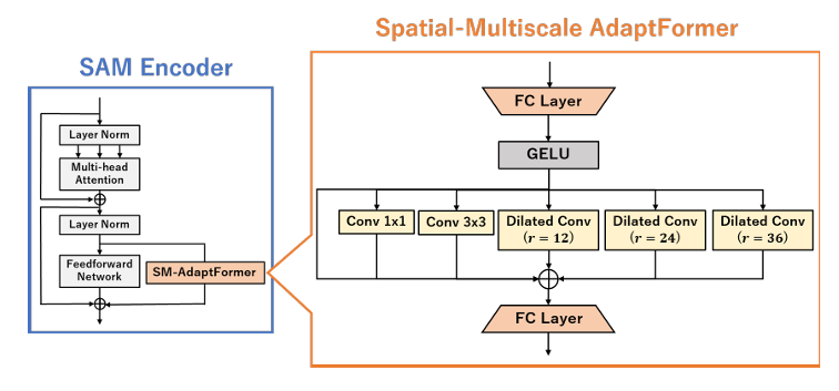 Spatial-Multiscale AdaptFormer