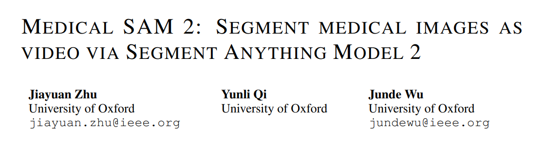 0-MEDICAL SAM 2: SEGMENT MEDICAL IMAGES AS VIDEO VIA SEGMENT ANYTHING MODEL 2