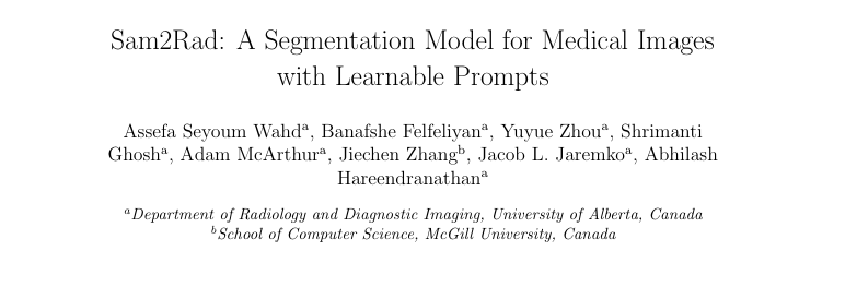 0-Sam2Rad: A Segmentation Model for Medical Images with Learnable Prompts
