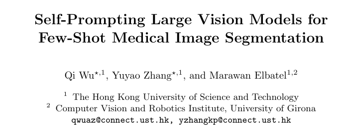 0-Self-Prompting Large Vision Models for Few-Shot Medical Image Segmentation